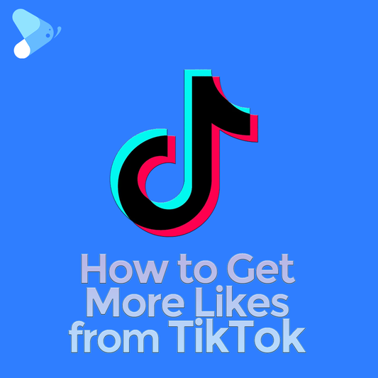 TikTok Logo